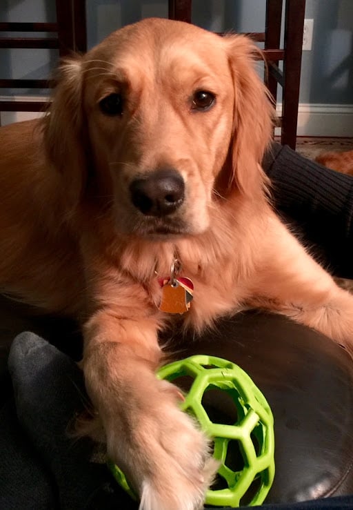 Maggie Mae 1